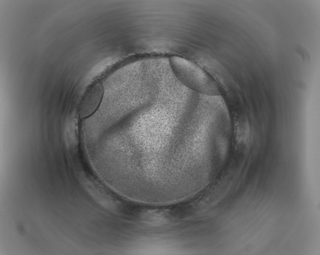 X0000113370680200910131321
