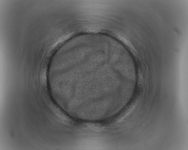 X0000113370681200910131321