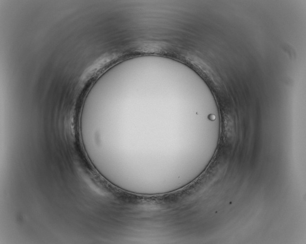 X0000113370682200910131321