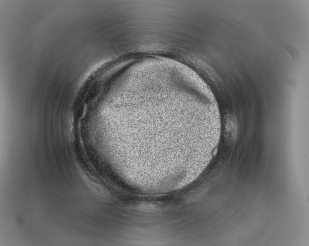 X0000113370684200910131321