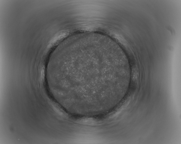 X0000113370685200910131321