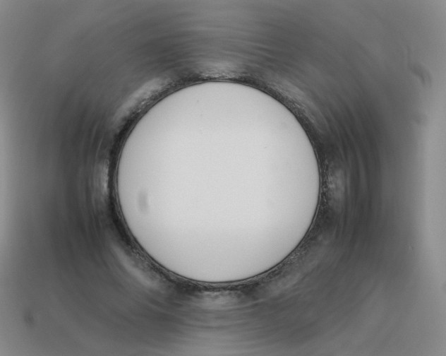 X0000113370686200910131321