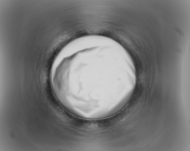 X0000113370687200910131321