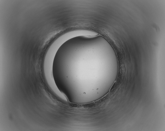 X0000113370688200910131321