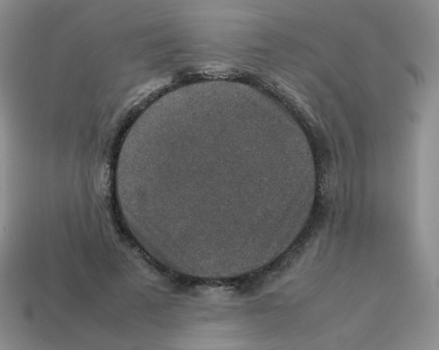 X0000113370689200910131321