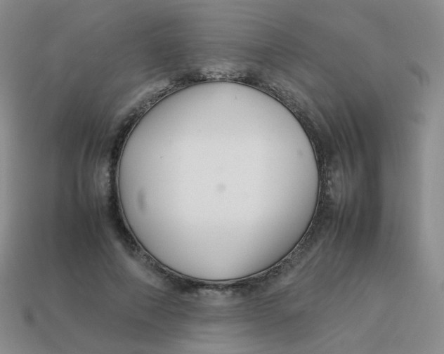 X0000113370690200910131321