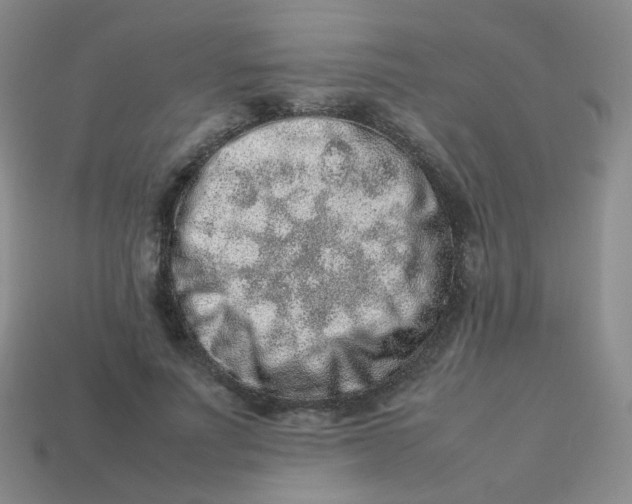 X0000113370691200910131321