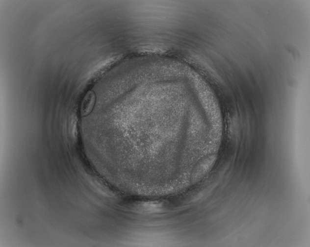 X0000113370692200910131321