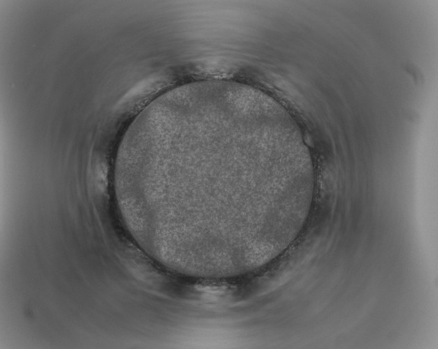 X0000113370693200910131321