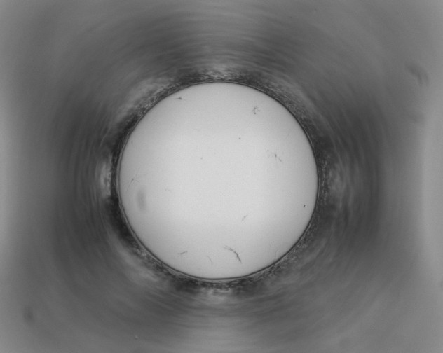 X0000113370694200910131321