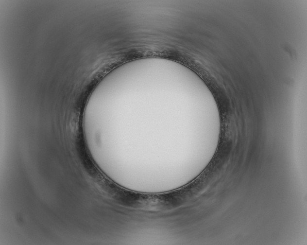 X0000113370695200910131321