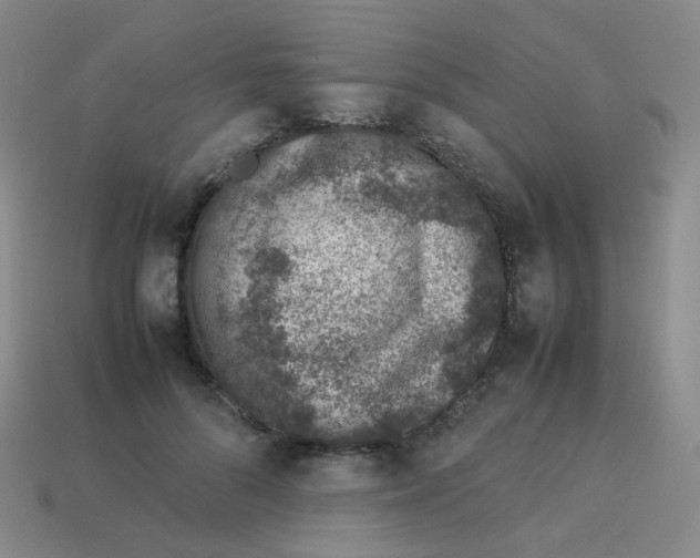X0000113370696200910131321