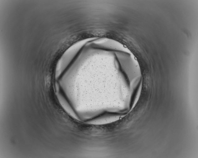 X0000113370697200910131321
