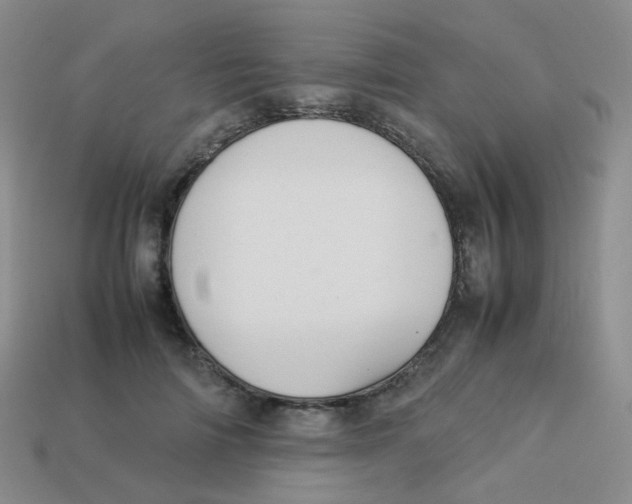 X0000113370698200910131321