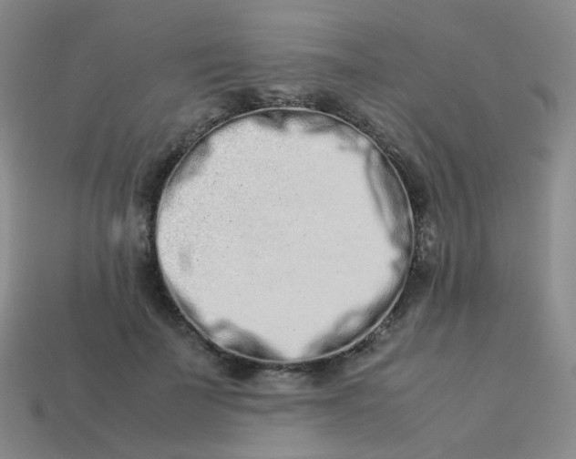 X0000113370699200910131321
