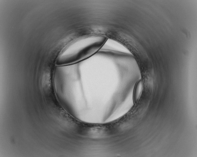 X0000113370700200910131321