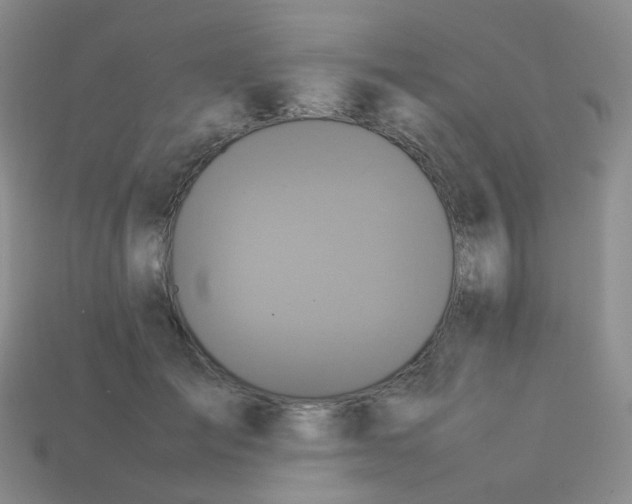 X0000113370701200910131321