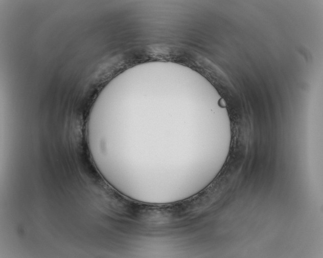 X0000113370702200910131321
