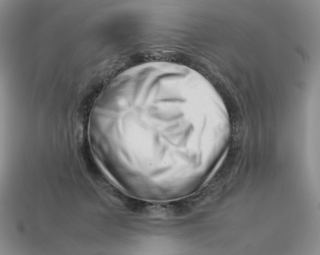 X0000113370703200910131321