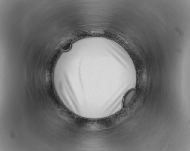 X0000113370704200910131321