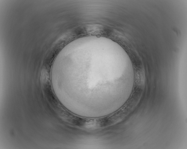 X0000113370705200910131321