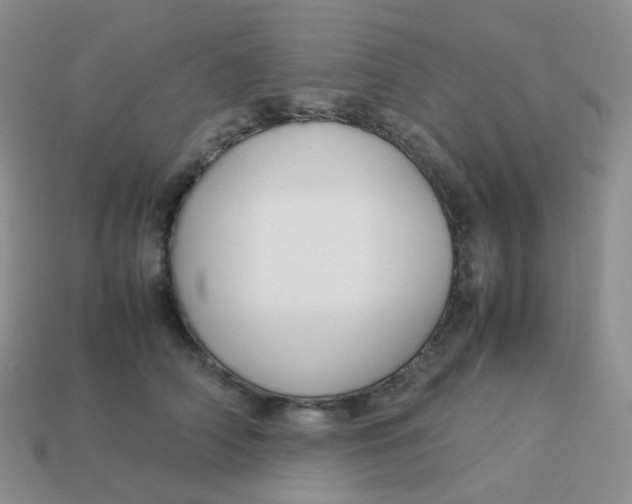 X0000113370706200910131321