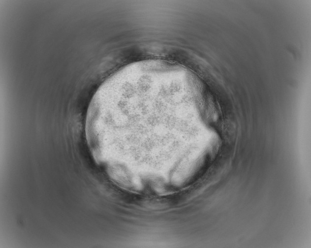 X0000113370707200910131321
