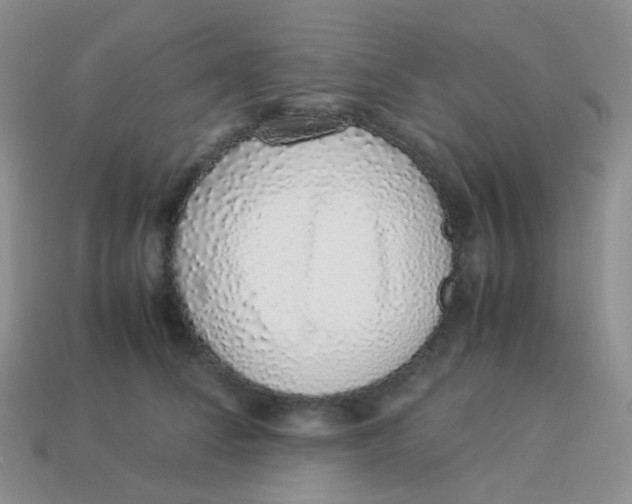 X0000113370708200910131321