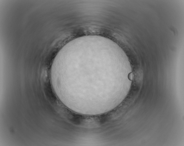 X0000113370709200910131321
