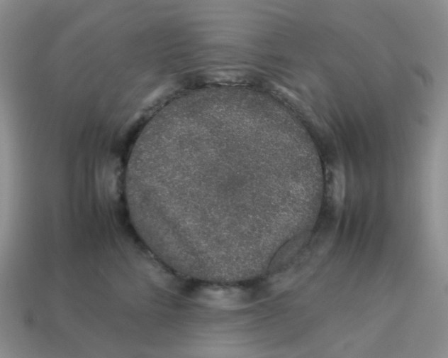 X0000113370712200910131321