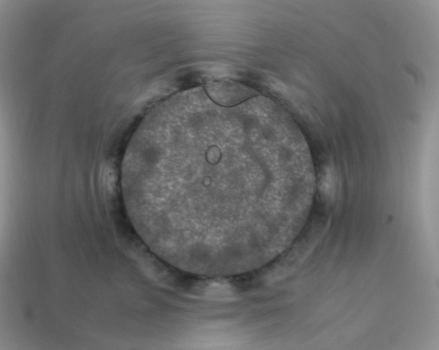 X0000113370715200910131321