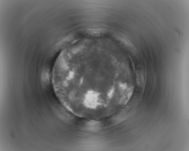 X0000113370718200910131321