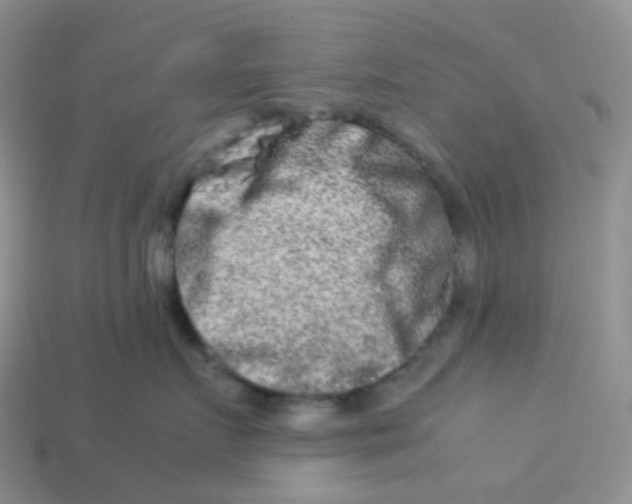 X0000113370719200910131321