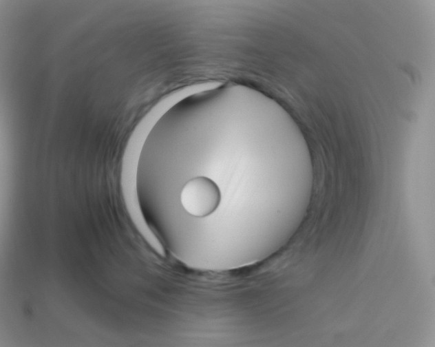 X0000113370720200910131321