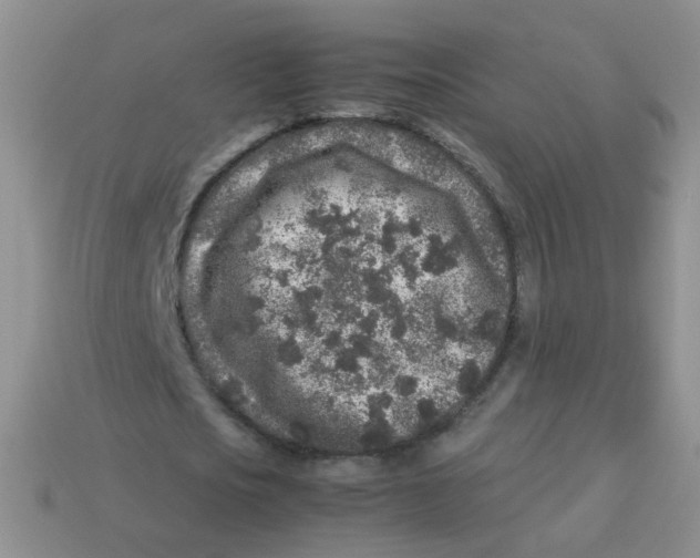 X0000113370721200910131320