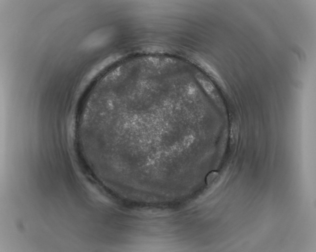 X0000113370722200910131320