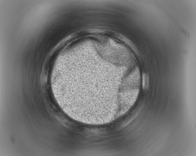 X0000113370723200910131320