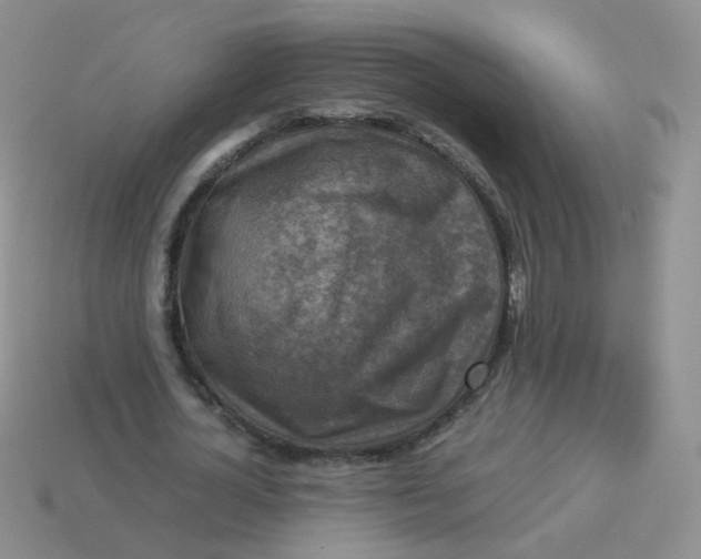 X0000113370724200910131320