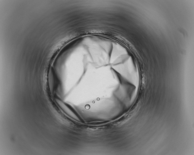 X0000113370725200910131320