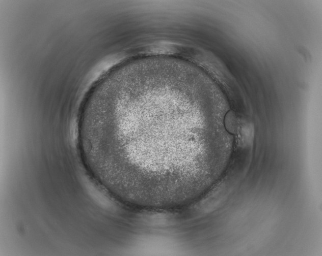 X0000113370726200910131320