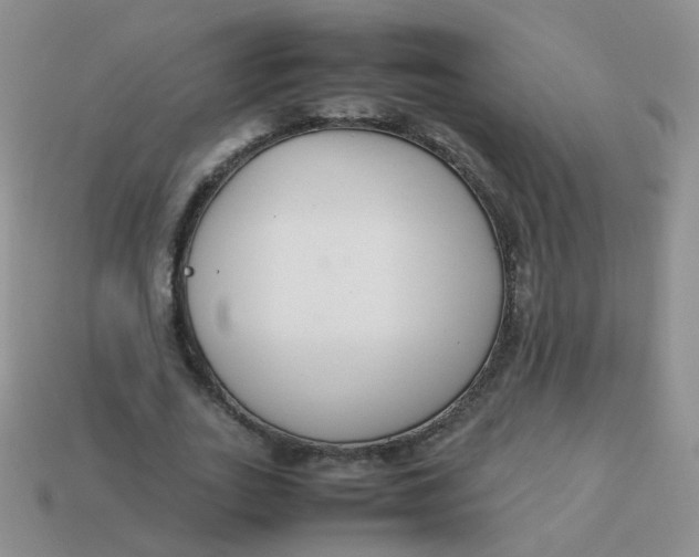 X0000113370727200910131320