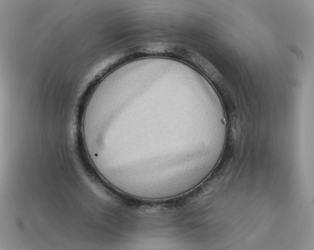 X0000113370728200910131320
