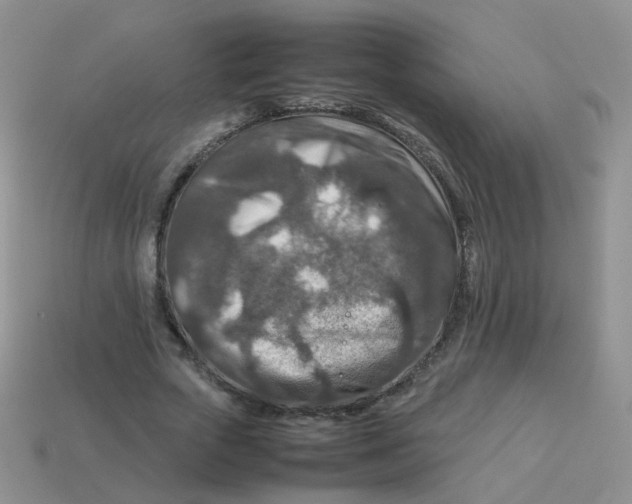 X0000113370729200910131320