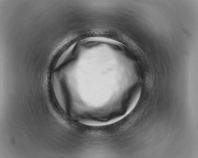 X0000113370730200910131320