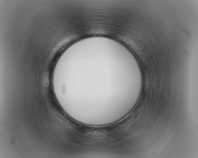 X0000113370731200910131320