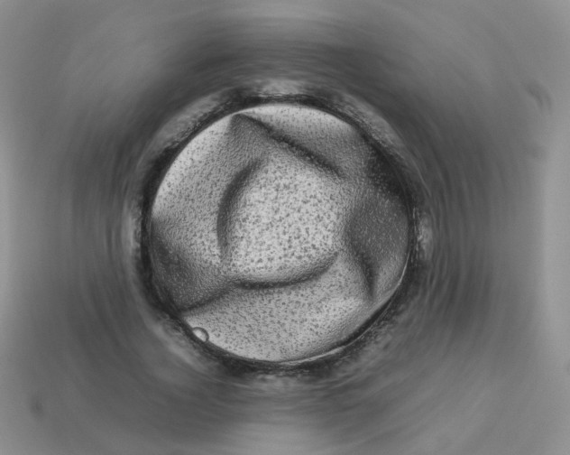 X0000113370732200910131320