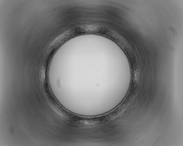 X0000113370733200910131320