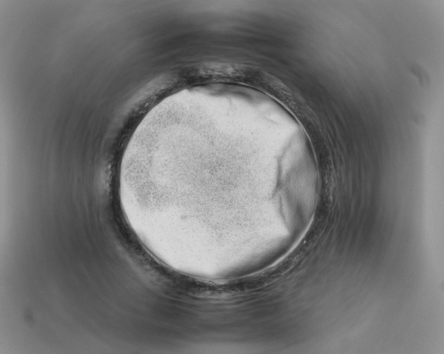 X0000113370735200910131320