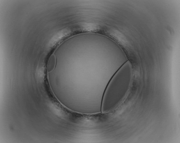 X0000113370736200910131320