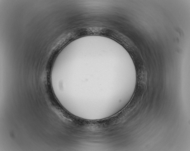 X0000113370738200910131320